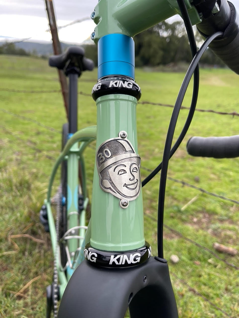 New 30th Anniversary Headbadge